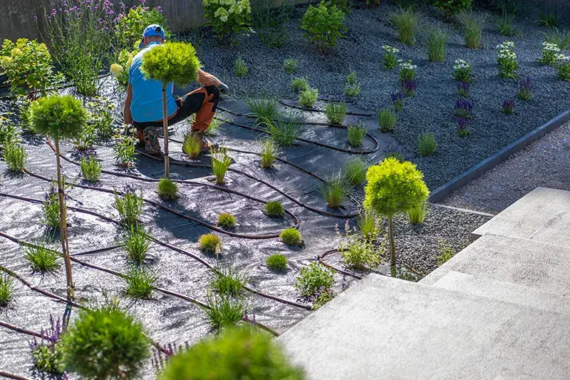 Woodmount Rooted Patterns in Motion