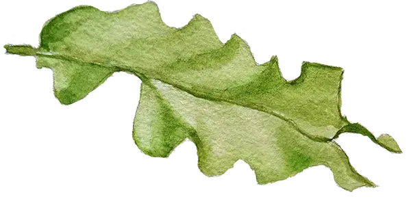 Woodmount Signature Botanical Accent