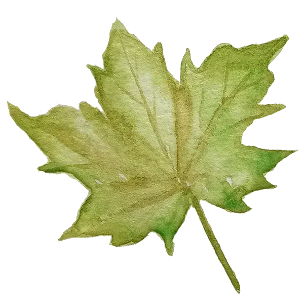 Woodmount Signature Botanical Accent